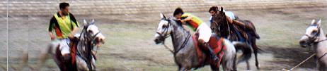 polo gilgit.jpg Pakistan travel and tours and hotel reservations